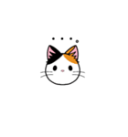 猫百面相（個別スタンプ：35）