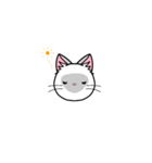 猫百面相（個別スタンプ：37）