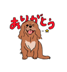コルク色のサラサラわんこ。（個別スタンプ：1）