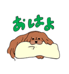 コルク色のサラサラわんこ。（個別スタンプ：5）