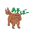 コルク色のサラサラわんこ。（個別スタンプ：8）