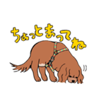 コルク色のサラサラわんこ。（個別スタンプ：12）
