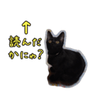 黒猫のヒナタ1（個別スタンプ：2）