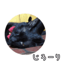 黒猫のヒナタ1（個別スタンプ：12）