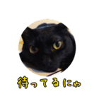 黒猫のヒナタ1（個別スタンプ：21）