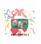 ポメラニアン♡樹里＆杏里＆里央＆琥汰楼（個別スタンプ：11）