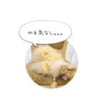 トイプードル♡ふぅちゃん（個別スタンプ：18）