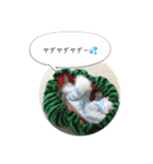トイプードル♡ふぅちゃん（個別スタンプ：20）