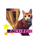 ロジカルに詰めてくる戦略猫 ニャース第2弾（個別スタンプ：4）