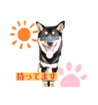 ロジカルに詰めてくる戦略猫 ニャース第2弾（個別スタンプ：7）