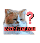 ロジカルに詰めてくる戦略猫 ニャース第2弾（個別スタンプ：10）