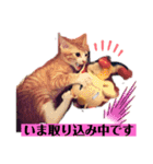 ロジカルに詰めてくる戦略猫 ニャース第2弾（個別スタンプ：15）