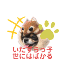アルコハハロウィン（個別スタンプ：3）