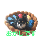 アルコハハロウィン（個別スタンプ：5）
