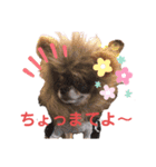アルコハハロウィン（個別スタンプ：7）