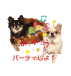 アルコハハロウィン（個別スタンプ：9）
