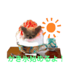 アルコハハロウィン（個別スタンプ：11）