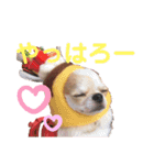 アルコハハロウィン（個別スタンプ：12）