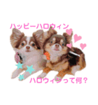 アルコハハロウィン（個別スタンプ：14）