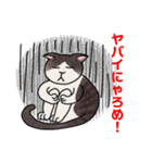 ニャロメの残念エッピョンvol.3（個別スタンプ：16）