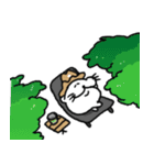 旅するあざらしの思い出（個別スタンプ：19）