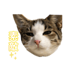 ポッキーと10匹の子供達（個別スタンプ：18）