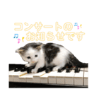 ポッキーと10匹の子供達（個別スタンプ：39）