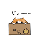 ノルウェージャンのノル坊（個別スタンプ：13）