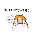 ノルウェージャンのノル坊（個別スタンプ：20）