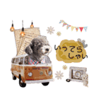 ソラのスタンプ.（個別スタンプ：13）