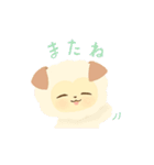 zoopi ズッピー（個別スタンプ：3）