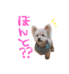 れいとあなの日常（個別スタンプ：1）