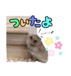 れいとあなの日常（個別スタンプ：3）