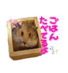 れいとあなの日常（個別スタンプ：6）
