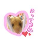 れいとあなの日常（個別スタンプ：8）