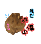 れいとあなの日常（個別スタンプ：9）