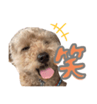 れいとあなの日常（個別スタンプ：14）
