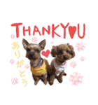 こっちゃんのfamily ♡（個別スタンプ：1）