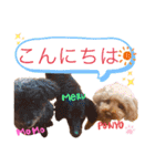 こっちゃんのfamily ♡（個別スタンプ：3）