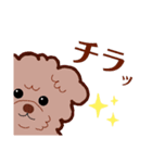 ララ＆パトラ（個別スタンプ：4）