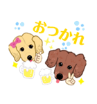 クー＆チョコ（個別スタンプ：4）