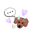 クー＆チョコ（個別スタンプ：6）