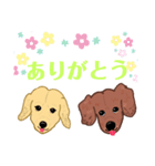 クー＆チョコ（個別スタンプ：13）