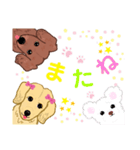 クー＆チョコ（個別スタンプ：16）