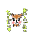 キャバ犬ココア（個別スタンプ：3）