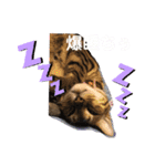 ベンガルレンジャーズのスタンプ①（個別スタンプ：8）