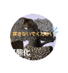 ベンガルレンジャーズのスタンプ①（個別スタンプ：13）