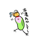 コザクラインコのおでんちゃん（個別スタンプ：23）