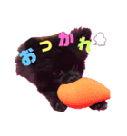 N、KUUCHAN（個別スタンプ：3）