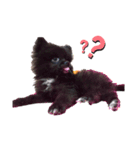 N、KUUCHAN（個別スタンプ：4）